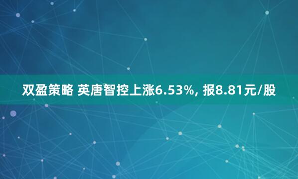 双盈策略 英唐智控上涨6.53%, 报8.81元/股
