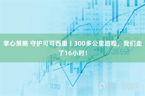掌心策略 守护可可西里丨300多公里路程，我们走了16小时！