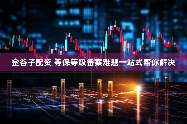 金谷子配资 等保等级备案难题一站式帮你解决