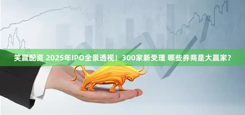 笑赢配资 2025年IPO全景透视！300家新受理 哪些券商是大赢家？