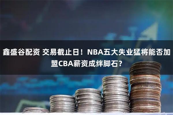 鑫盛谷配资 交易截止日！NBA五大失业猛将能否加盟CBA薪资成绊脚石？